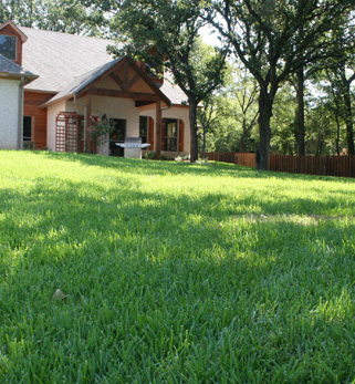 Landscape in Wise County